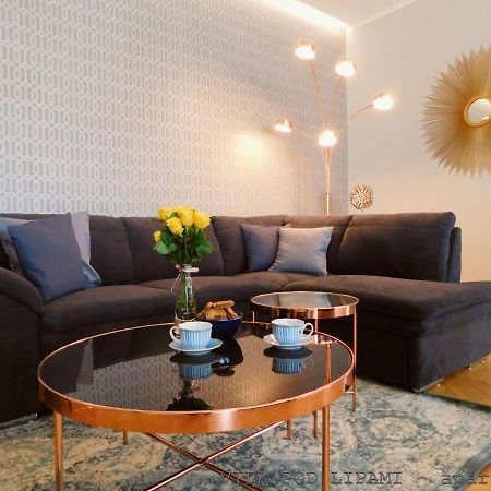 Апартаменты Vila Pod Lipami Брунталь Экстерьер фото