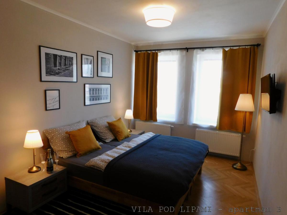 Апартаменты Vila Pod Lipami Брунталь Экстерьер фото