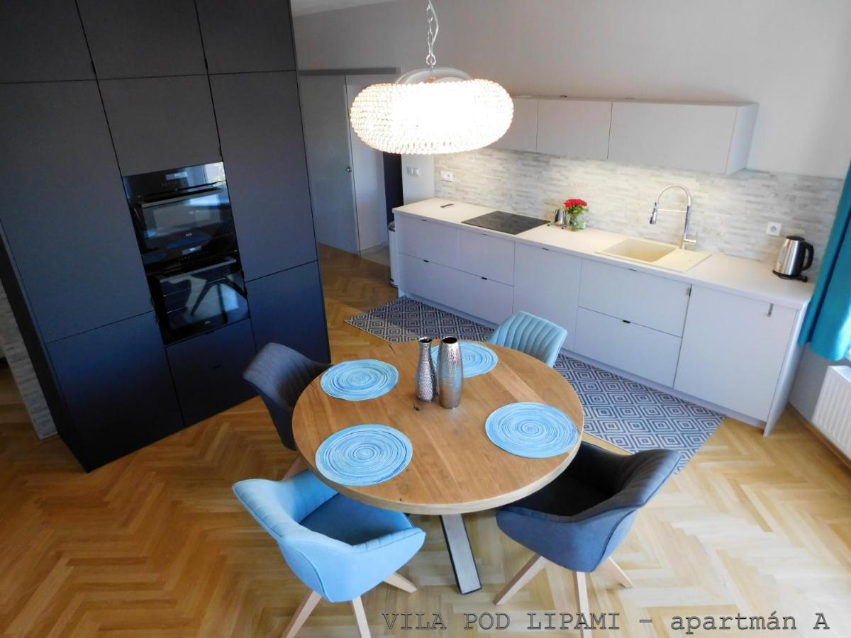 Апартаменты Vila Pod Lipami Брунталь Экстерьер фото