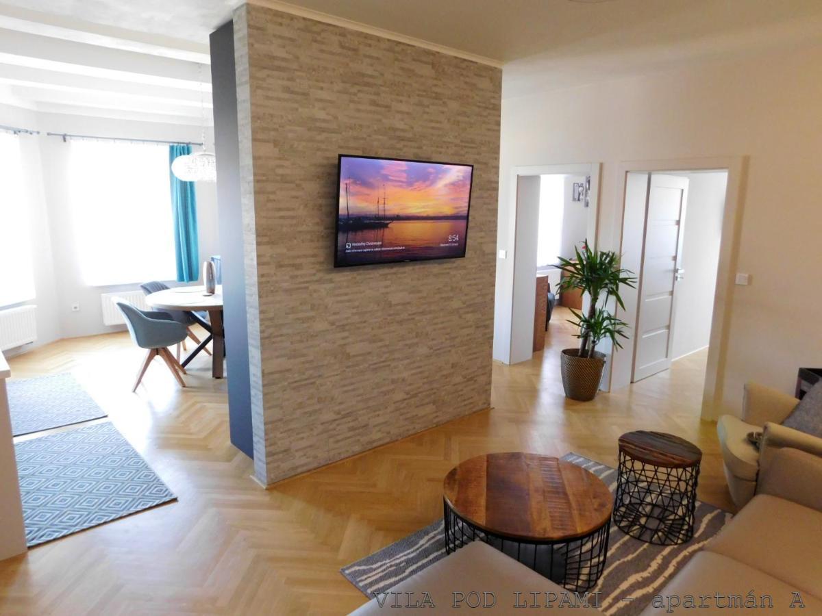 Апартаменты Vila Pod Lipami Брунталь Экстерьер фото