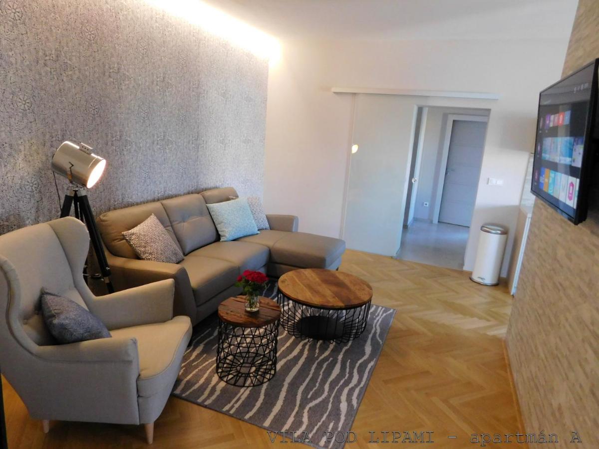 Апартаменты Vila Pod Lipami Брунталь Экстерьер фото